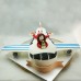 Aeroplane  Cake (D)